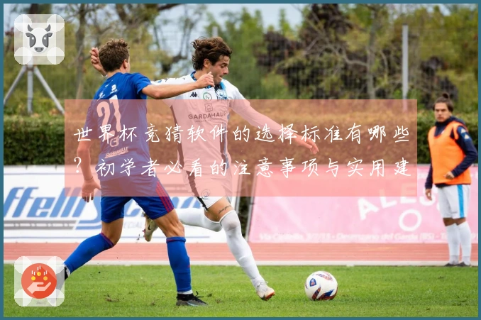 世界杯竞猜软件的选择标准有哪些？初学者必看的注意事项与实用建议