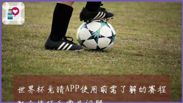 世界杯竞猜APP使用前需了解的赛程配合技巧和常见问题