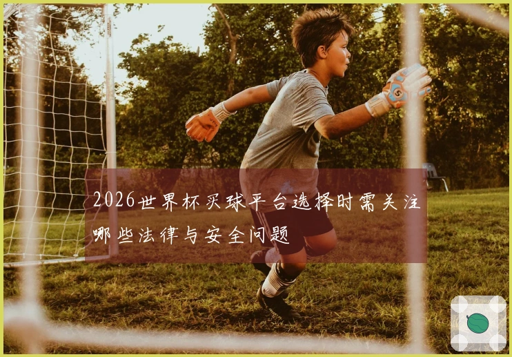 2026世界杯买球平台选择时需关注哪些法律与安全问题