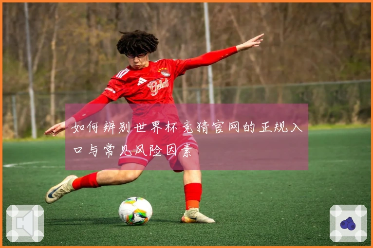 如何辨别世界杯竞猜官网的正规入口与常见风险因素