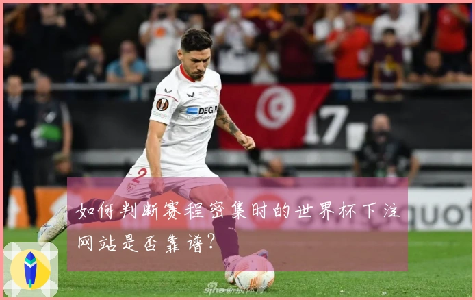 如何判断赛程密集时的世界杯下注网站是否靠谱？