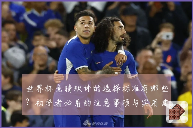 世界杯竞猜软件的选择标准有哪些？初学者必看的注意事项与实用建议
