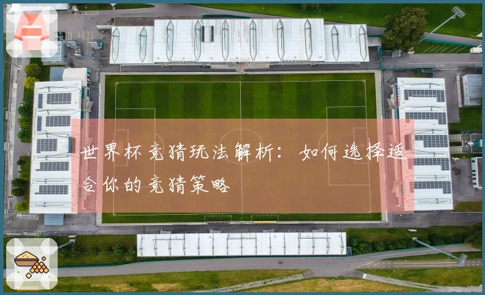 世界杯竞猜玩法解析：如何选择适合你的竞猜策略
